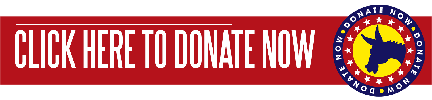 schdc donatenow wide